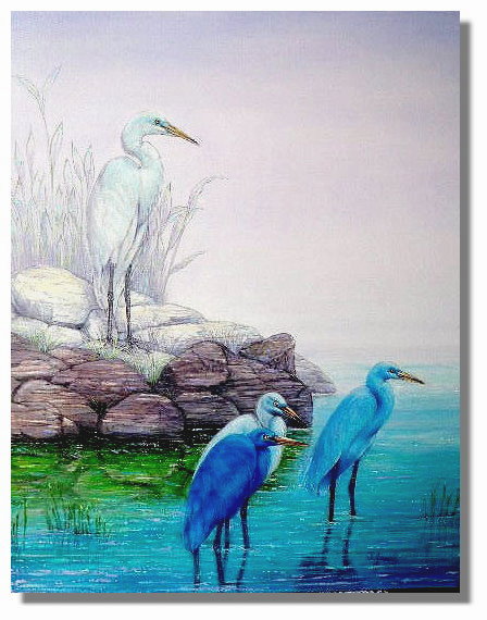 Blue Egrets